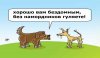 Смешные без цензуры. Собаки Барабаки анекдот. Анекдот про собаку Барабаку. Анекдот про холодные губы собаки. Анекдот про собаку Барабаку с холодными губами.